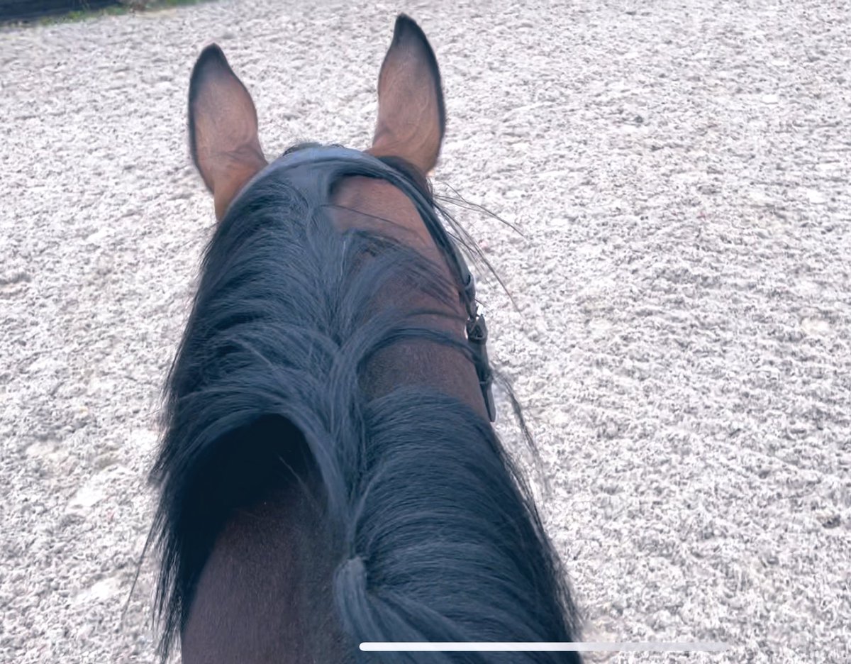 LizzieBlamire's tweet photo. Seems I don’t need therapy after all, the problem seems to have sorted itself! #betweentheears #backintowork #exracer happy Sunday!! https://t.co/G5lf43noum
