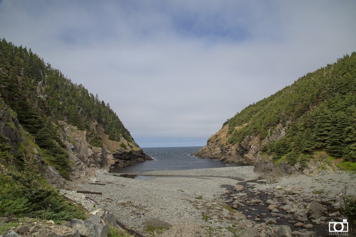 positively4ever's tweet photo. Beautiful end of summer hike #ShoeCove #StilesCovepath @EastCoastTrail @TCTrail @DestinationSJ #explorenl @NLtweets #bestkind #joyofhiking @CBCNL #hike @downhomelife https://t.co/Kqx7KKJHsh