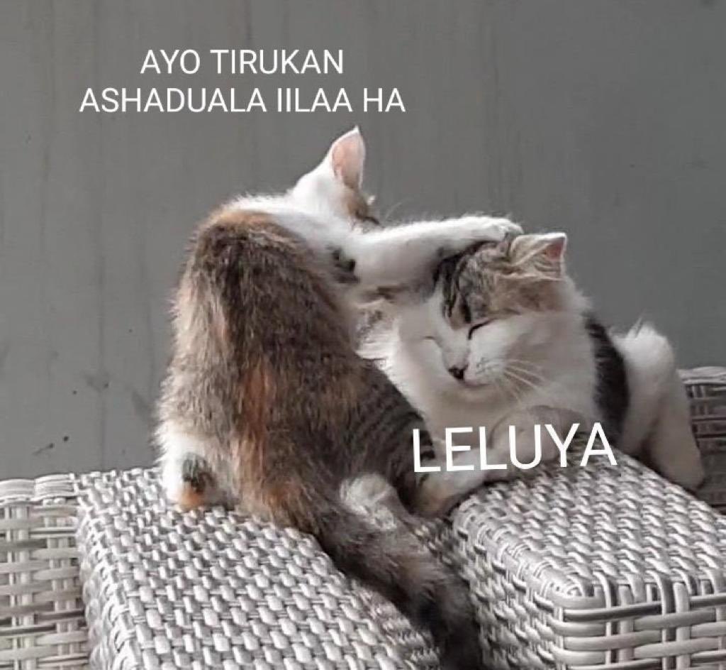 jankis08's tweet photo. @convomfs Udah lah ya cukup segini dulu https://t.co/QoOSeYZhSr