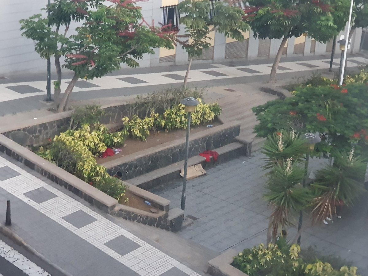 davisuit32's tweet photo. @AugustoHidalgo_ Ven y transforma esto, y los vecinos debieras a las 5 de la mañana porque los inmigrantes peleándose en plena calle . Transforma eso valiente https://t.co/Snd9ZGRQx6