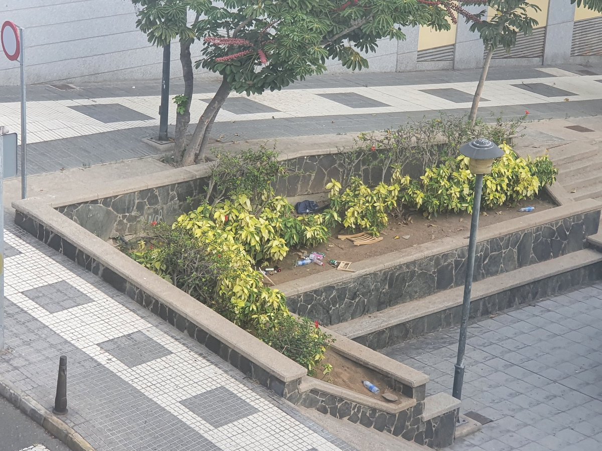 davisuit32's tweet photo. @AugustoHidalgo_ Ven y transforma esto, y los vecinos debieras a las 5 de la mañana porque los inmigrantes peleándose en plena calle . Transforma eso valiente https://t.co/Snd9ZGRQx6