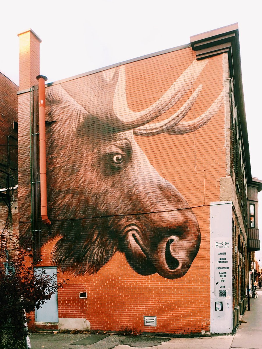 DucCNguyen's tweet photo. The biggest Moose in Montreal 😉
Mural by Ruben Carrasco, in 2018, as part of the IPAF Festival.

#ArtMTL #insiderMTL #ArtpublicMTL #StreetArt #MTLMoments #RubenCarrasco #etohbrasserie #IPAFFestival https://t.co/cFJTOEcoZq