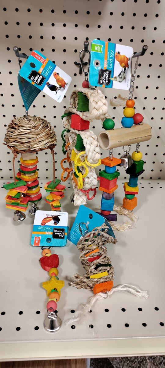 Petsmart0509's tweet photo. Add enrichment to your bird's life. Our toys are buy 2 get the 3rd 50% off until October 2nd. https://t.co/emitC6tIuL
