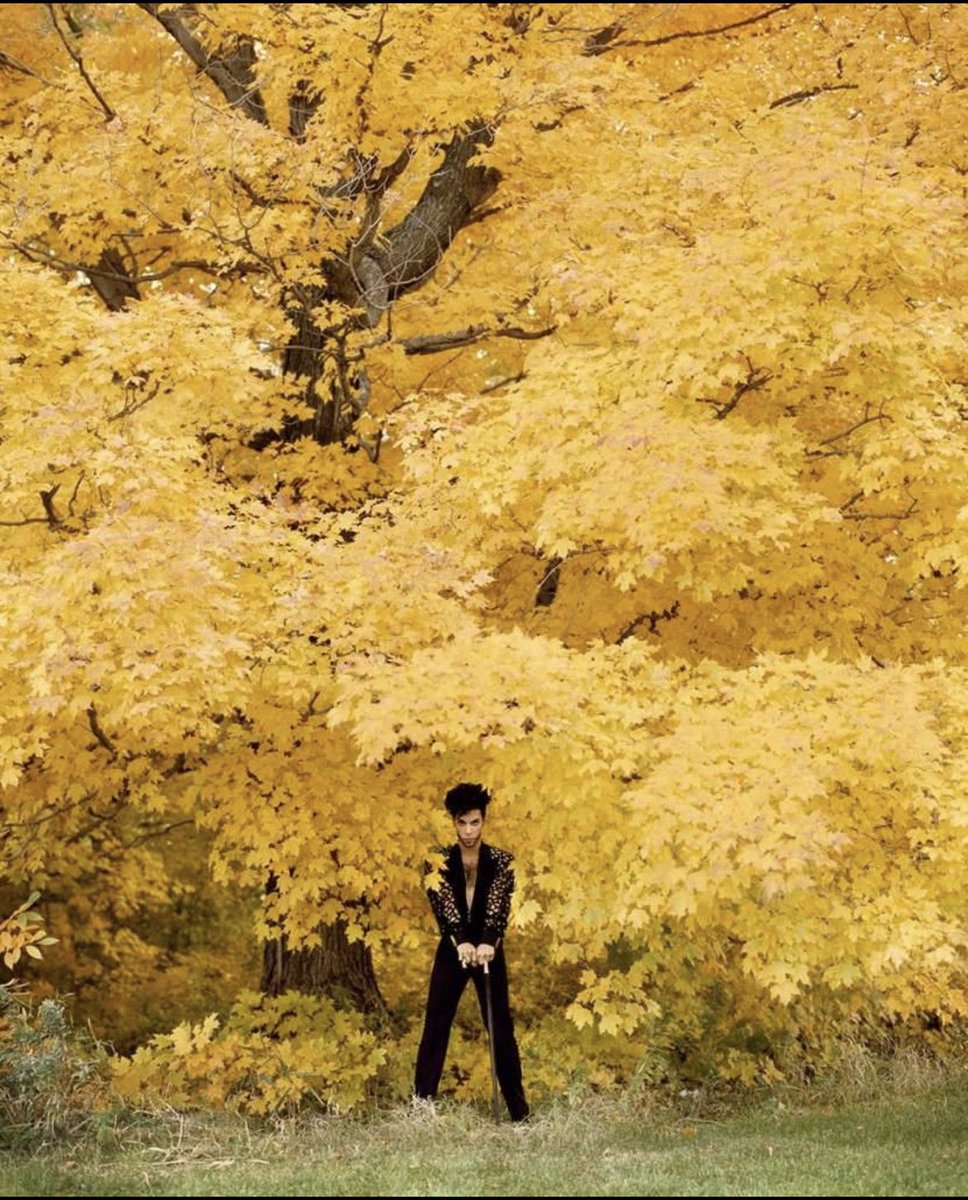 dritchart's tweet photo. Who’s ready for Fall?! #MinnesotaLandscapeArboretum #PRN #HerbRitts https://t.co/5Q5xtE6wUx