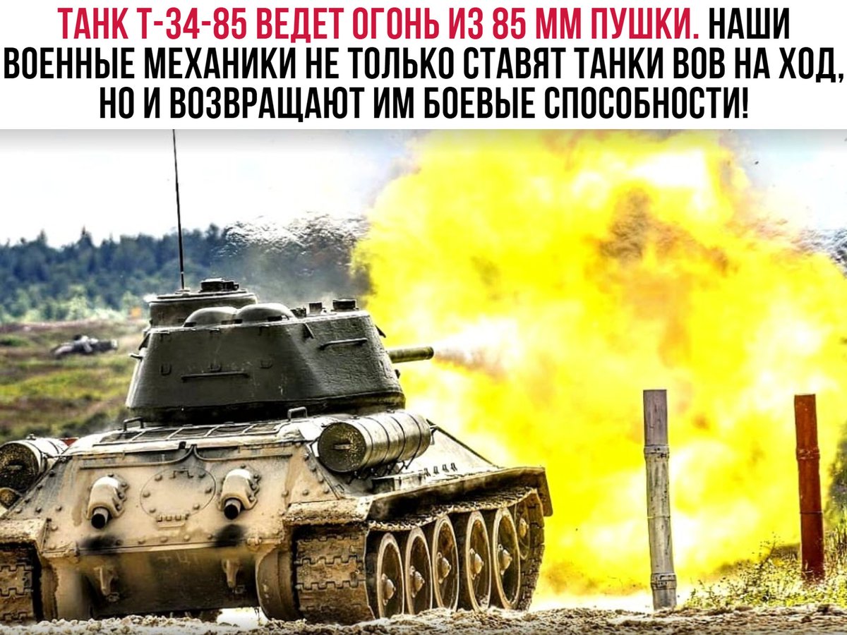 Вежливые Люди (@vegchelovek) on Twitter photo 