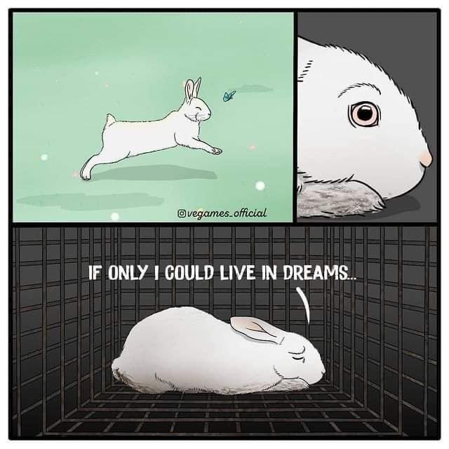 Julesk23's tweet image. #BanTesting