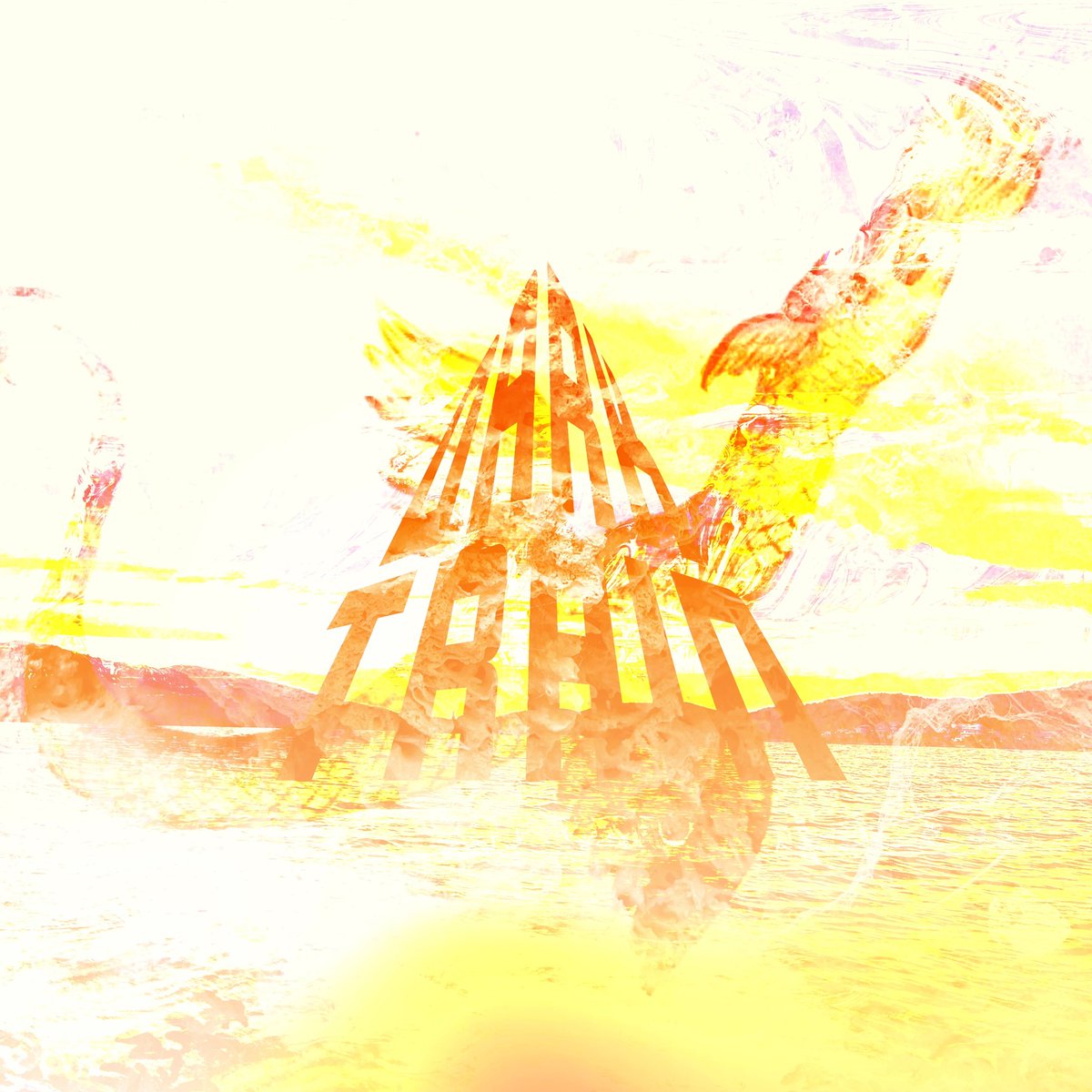 Kate Bosworth tweet media