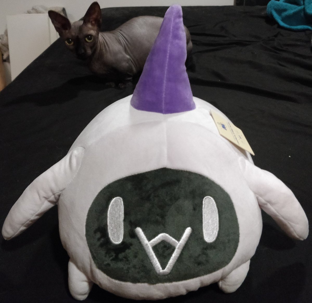 LunaSoulTTV's tweet photo. Chatblin has finally arrived! Ft nakey boi Gurgi. 😌
@dyarikku #Rikkugaki #Chatblin https://t.co/8BP3KIO4EJ