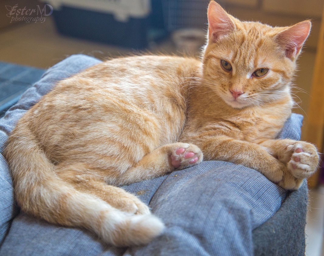 Ester Mira D. photography tweet media