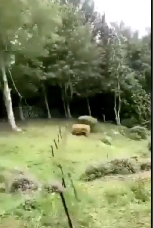 _M_A_Z_Z_A's tweet photo. Why would a child seen alive &amp; sadly found dead in this area be a reason for U.K. &amp; NI to submit PII .. for national security!? YOU EXPLAIN IT TO ME. 600 pages of info?! #NoFoulPlay ? So prove it ! #NoahDonohoe https://t.co/QjDucbvt9r