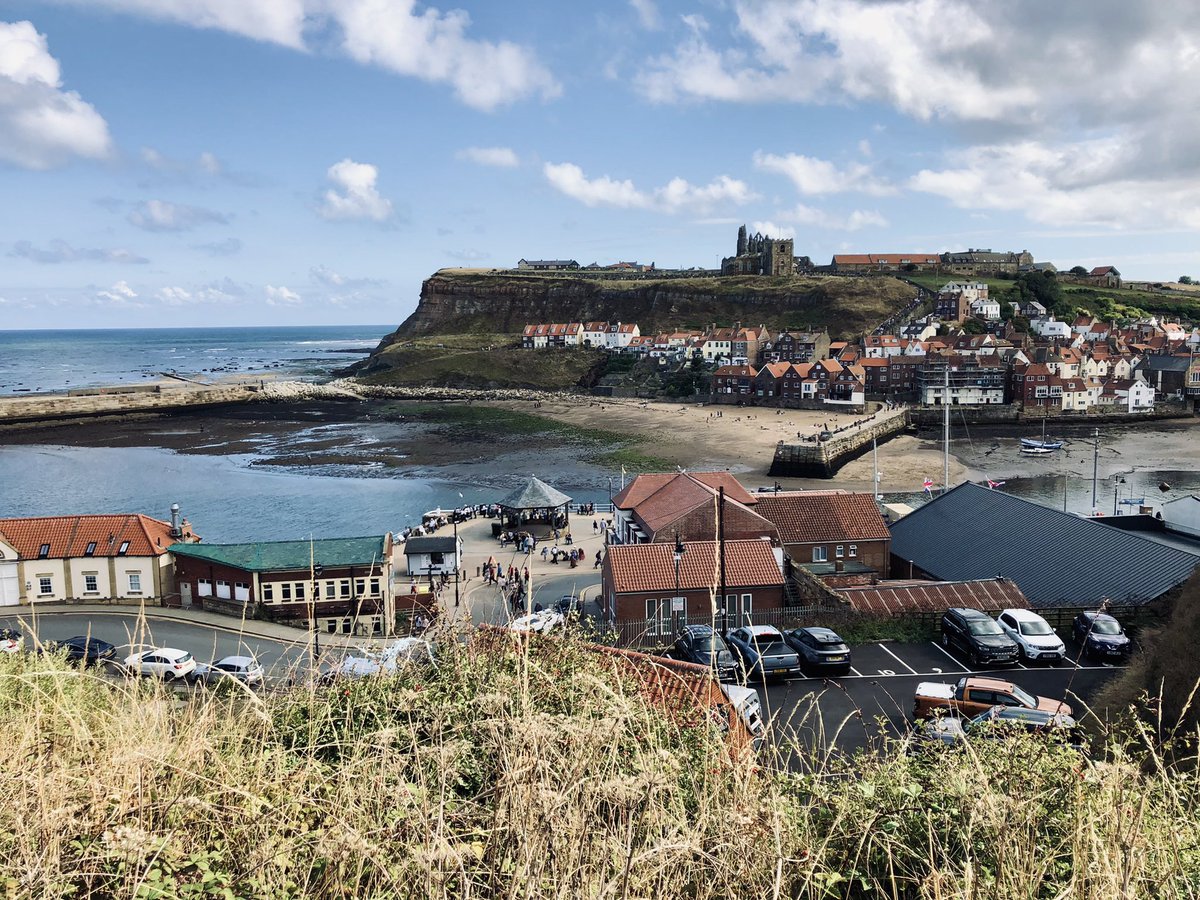 linda 👋🏼🐸 tweet media