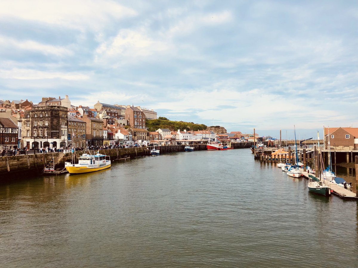 linda 👋🏼🐸 tweet media