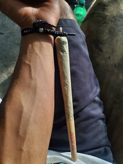 🤪🔥🍁