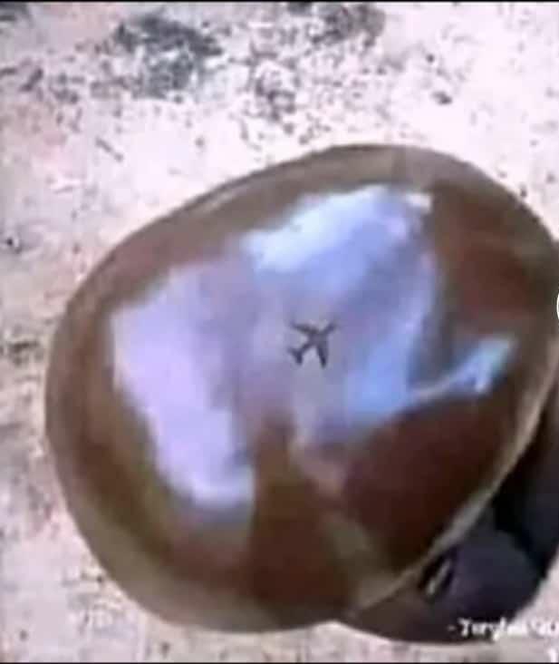 VMukiga101's tweet photo. Alina ekyenyi😌😌kyimulinga ndabilwamu 😁😁🤣🤣 https://t.co/lVDHZQigBg