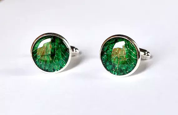 OrganicDesign5's tweet photo. In the minouette shop: Emerald Cufflinks from real flower, Christmas natural eco green men cuff links, Botanical dad gift idea for him from Tropical Jungle by OrganicDesignNL at https://t.co/hcxQXnAkgr https://t.co/pbypyb3zrh