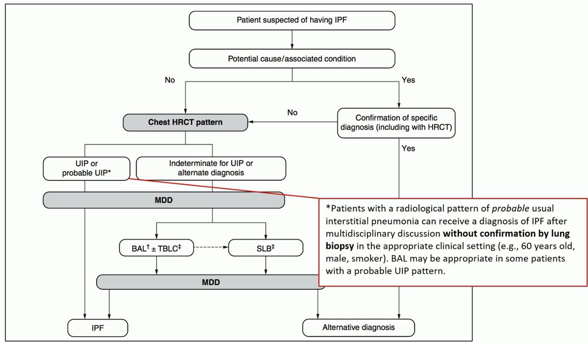 drdayjee's tweet photo. Prof. Luca Richeldi @Lucaric dissects IPF and PPF as presented in the new guidelines. 

Examines the case for combining ‘typical’ and ‘probable’ UIP into one category; and the choice for “PPF” as a new terminology - not a distinct clinical diagnosis. 

#ERS2022 #CurePF https://t.co/LJGQPUcbVG