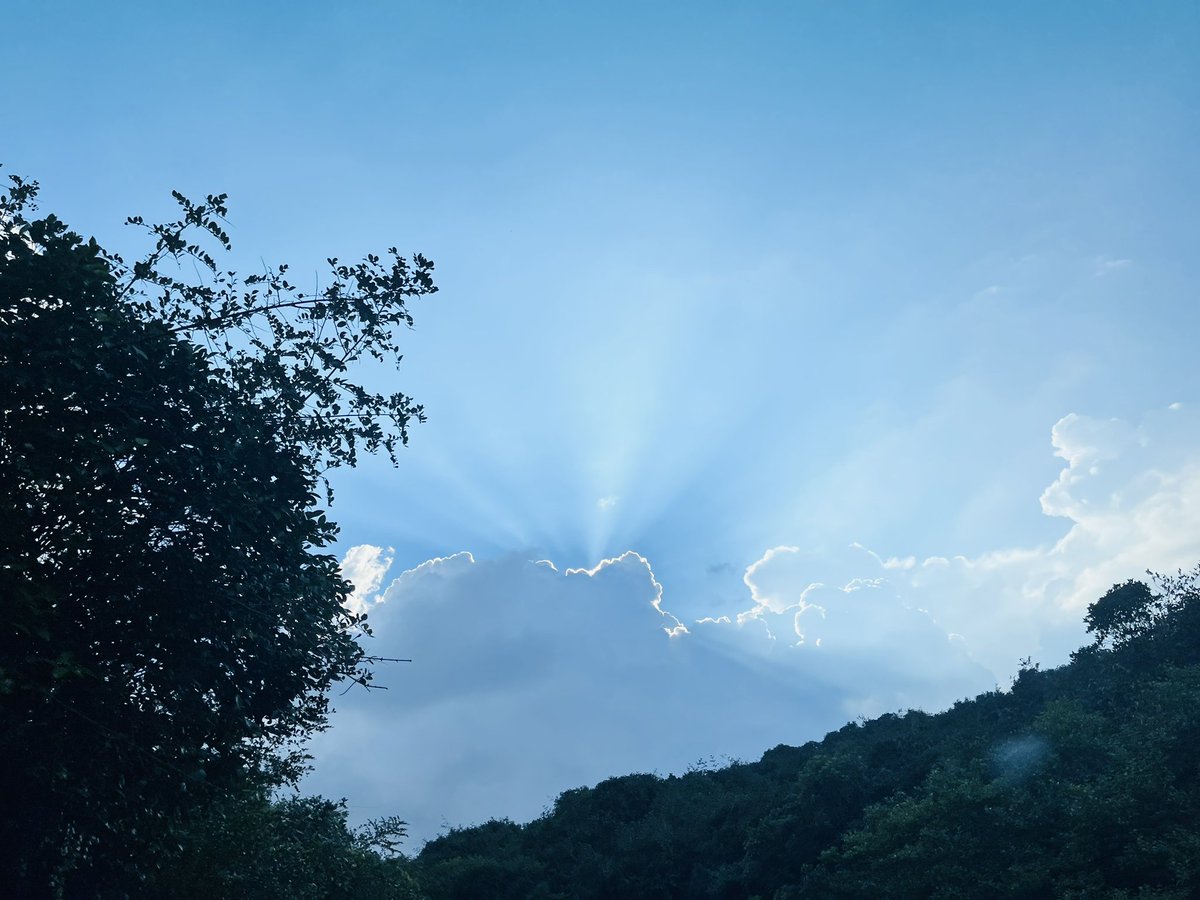 cpratu's tweet photo. Deism at it’s best! 😇
#deism #nature #naturephotography #naturelovers #sky #skylovers #sun #clouds #nofilter https://t.co/KgjCB7Yomp