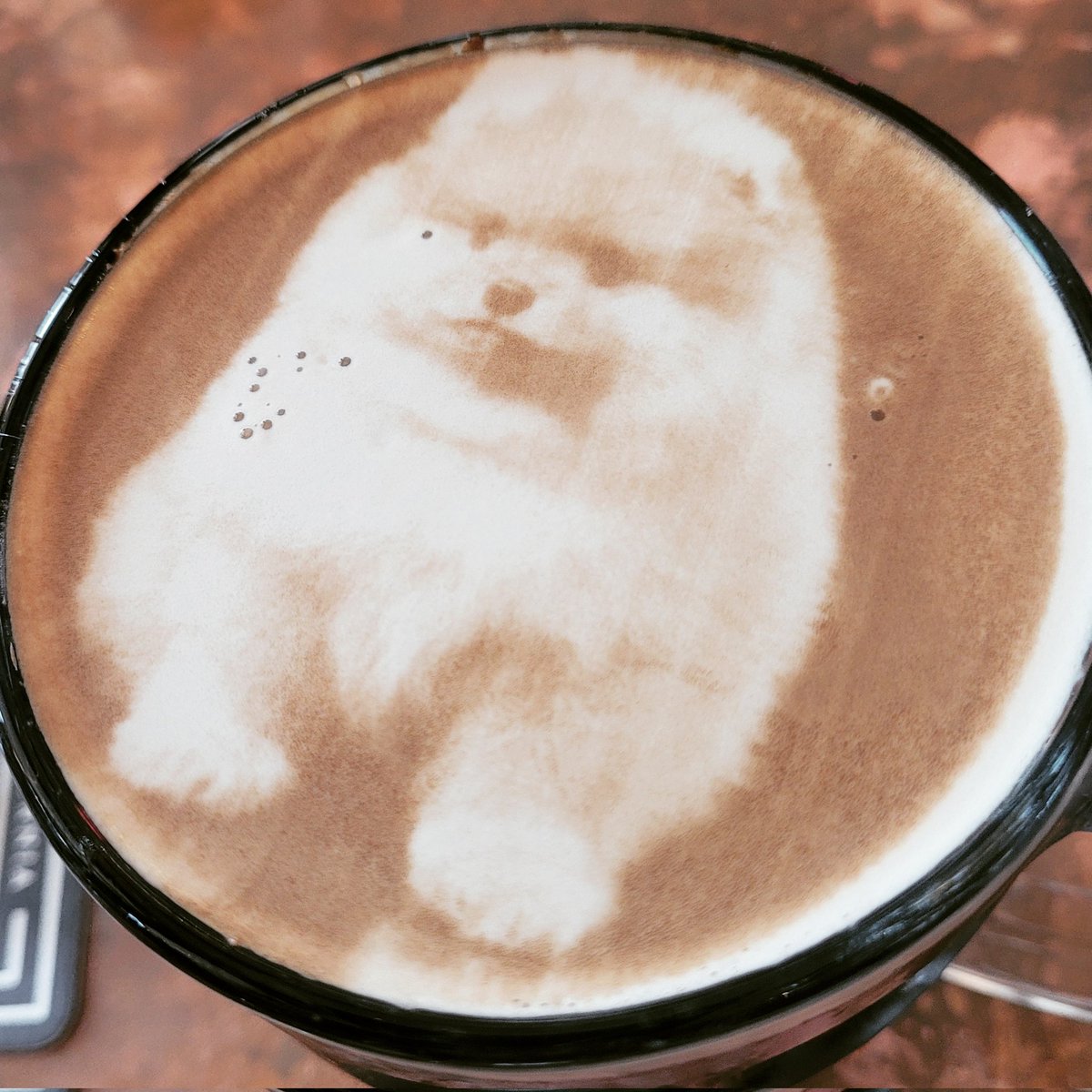 XtyMcg's tweet photo. @chwloopty 👋My friend got poured a "Bear Beer" yesterday! 😍 She had a Bear 🐶 for years! Looked a lot like this doggo! #SuperFluff Hope you're having a great weekend! 🍻 https://t.co/Z4zHLL0XqZ