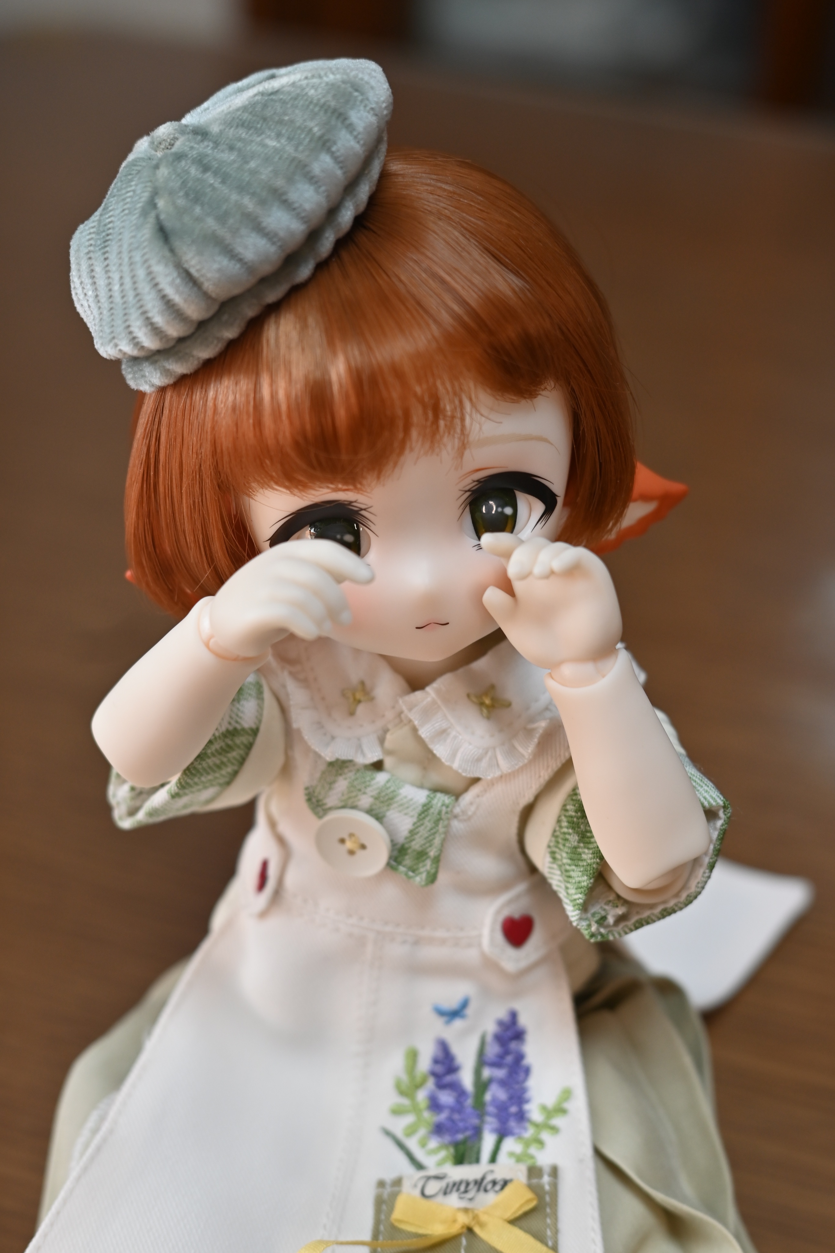 オンラインストア売れ済 Tinyfox 02S- ドール 幼SDサイズ 白巧肌 カスタムヘッド おもちゃ/人形