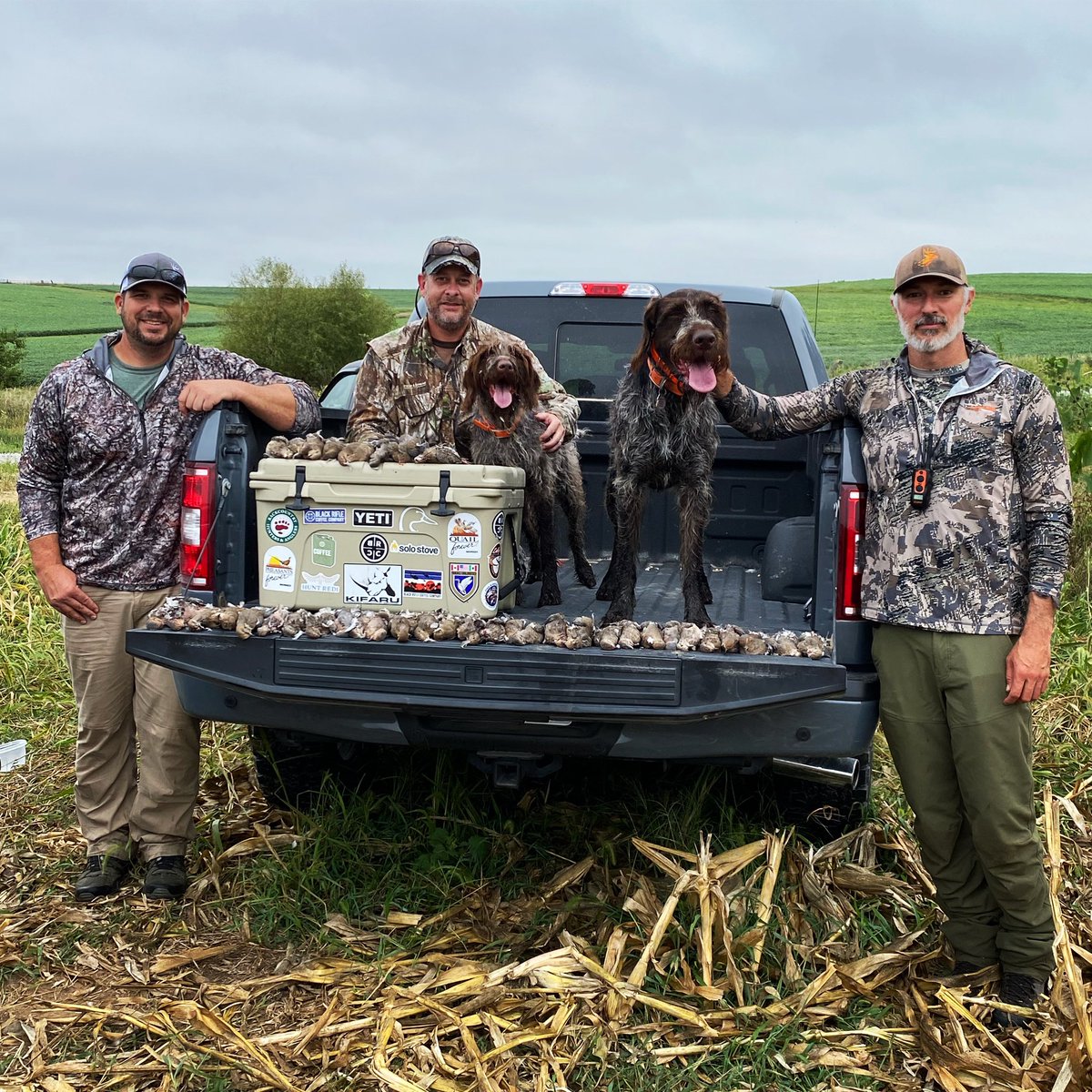 BEOUTDOORScom's tweet photo. Dogs doing some work. #doveseason #birddogs #retriever #wirehairedpointer #dovehunting #dovehunt https://t.co/R7cDrSOvkn