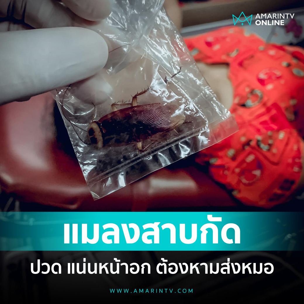 TarotYouuuu's tweet photo. สงสารเขามาก แค่กางปีกกูก็แทบจะวิ่งหนีแล้ว นี่เขาโดนกัดเลย ขอให้หายไวๆนะครับ https://t.co/Dm0yHHCUrf