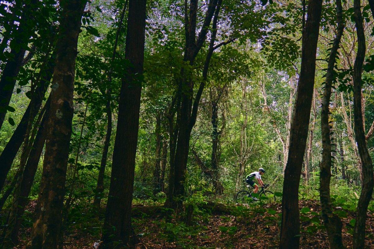 deepakmajipatil's tweet photo. A date with Greenery? 

Register for Serene Sirsi cycling tour at https://t.co/JPp2PnoZ6N
_________________________________
#uttarakannada #biketouring #touring #cycling #endurance #bike #cyclingpics #cyclingphotos #roadcycling #serenesirsi #spectrumphysio
#cyclingmonks https://t.co/TSNhdsIdMr