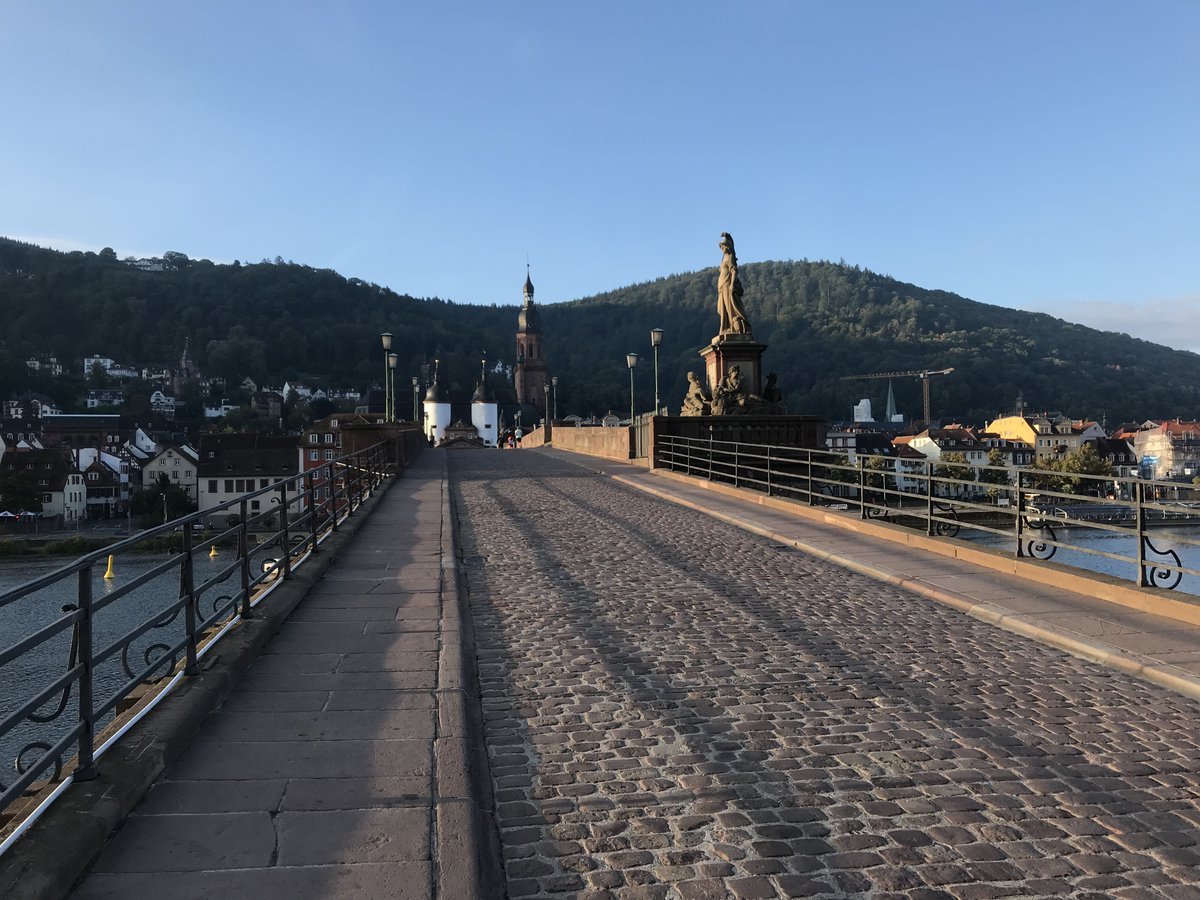 Excited to be part of the 2022 Amyloidosis meeting in beautiful Heidelberg isaheidelberg2022.org . Will be delivering an opening lecture on what is good about amyloid: 'Turning swords into plowshares: the case of functional amyloid'