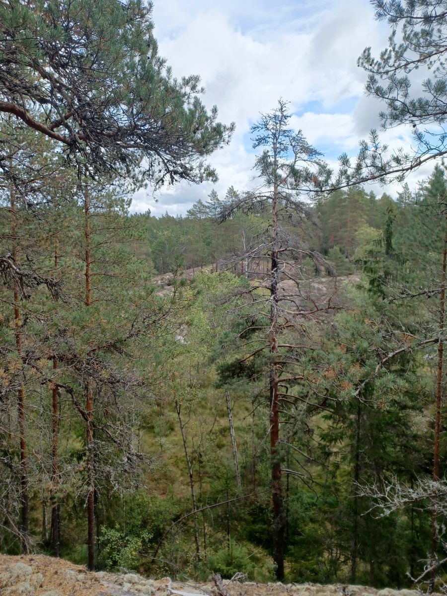 ambrowoll's tweet photo. Tänään piti ns palata rikospaikalle eilisen #NuuksioClassic'in jälkeen, sillä haimme pesutilojen pukuhuoneeseen unohtuneen juoksureppuni. Koirat pääsivät nyt ulkoilemaan kisareitillä ja isäntä/emäntä lounastamaan ravintola #Haltia'ssa.
#nuuksio #noux https://t.co/h9lV7Cq5O9