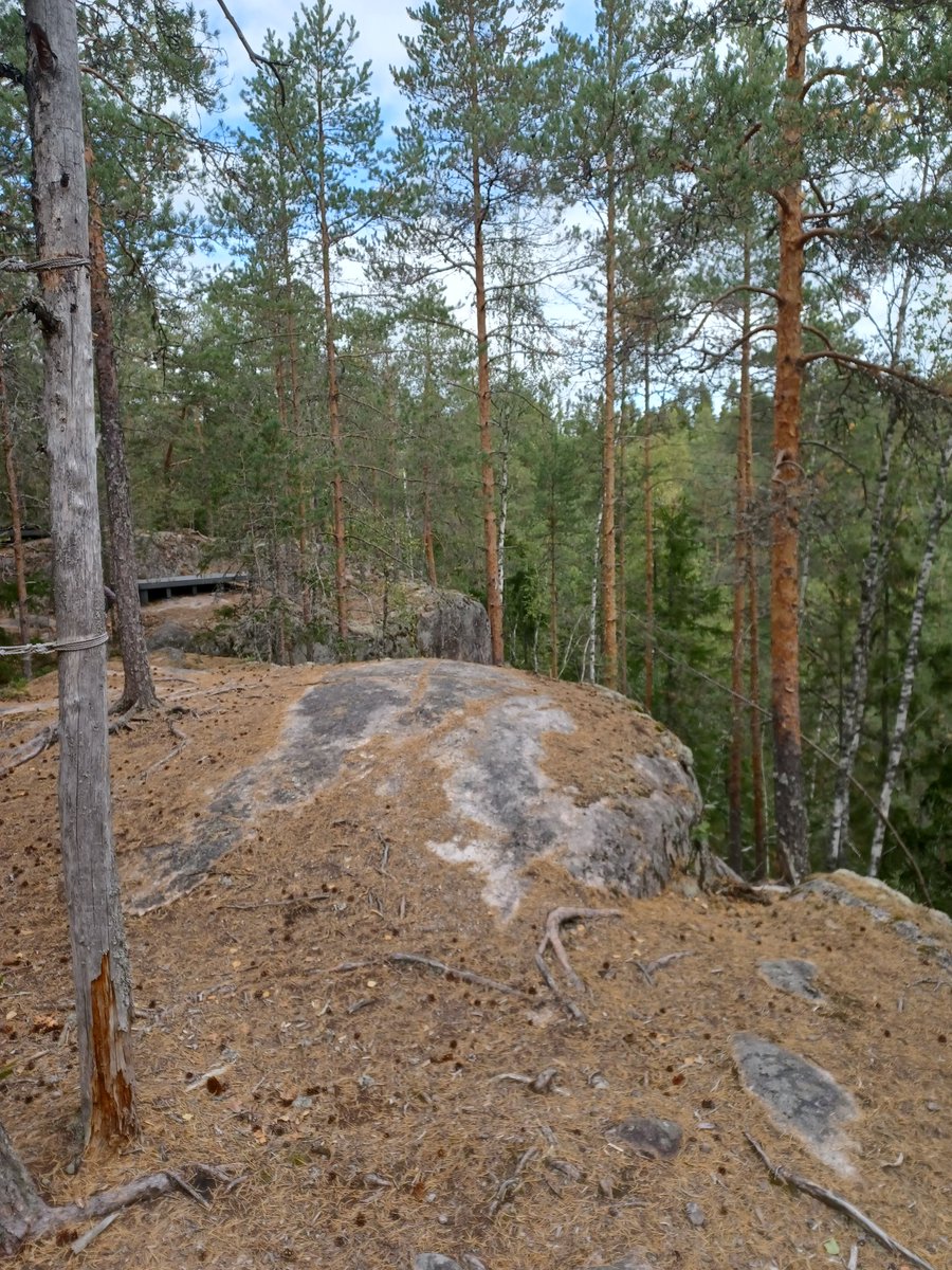 ambrowoll's tweet photo. Tänään piti ns palata rikospaikalle eilisen #NuuksioClassic'in jälkeen, sillä haimme pesutilojen pukuhuoneeseen unohtuneen juoksureppuni. Koirat pääsivät nyt ulkoilemaan kisareitillä ja isäntä/emäntä lounastamaan ravintola #Haltia'ssa.
#nuuksio #noux https://t.co/h9lV7Cq5O9