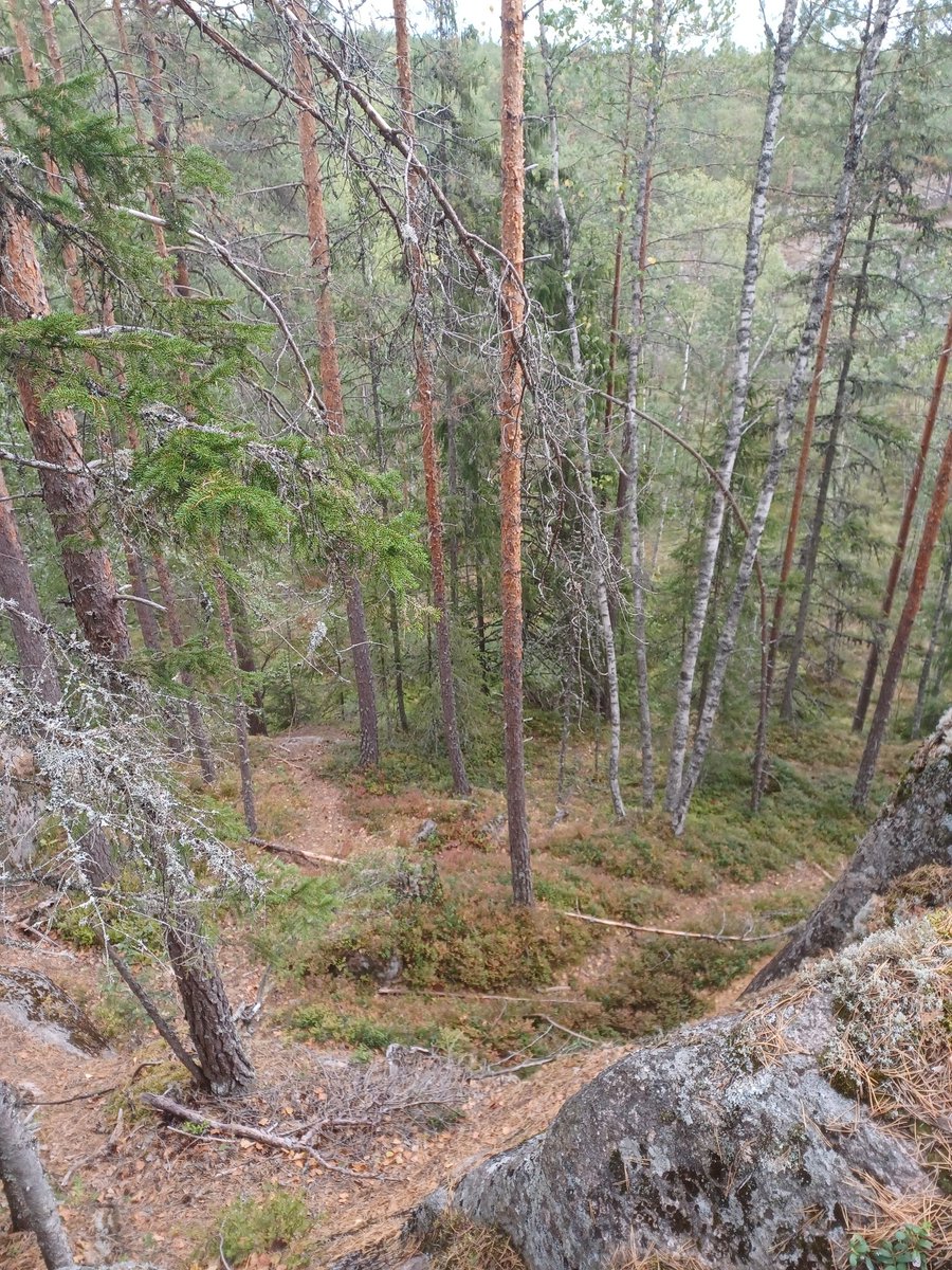 ambrowoll's tweet photo. Tänään piti ns palata rikospaikalle eilisen #NuuksioClassic'in jälkeen, sillä haimme pesutilojen pukuhuoneeseen unohtuneen juoksureppuni. Koirat pääsivät nyt ulkoilemaan kisareitillä ja isäntä/emäntä lounastamaan ravintola #Haltia'ssa.
#nuuksio #noux https://t.co/h9lV7Cq5O9
