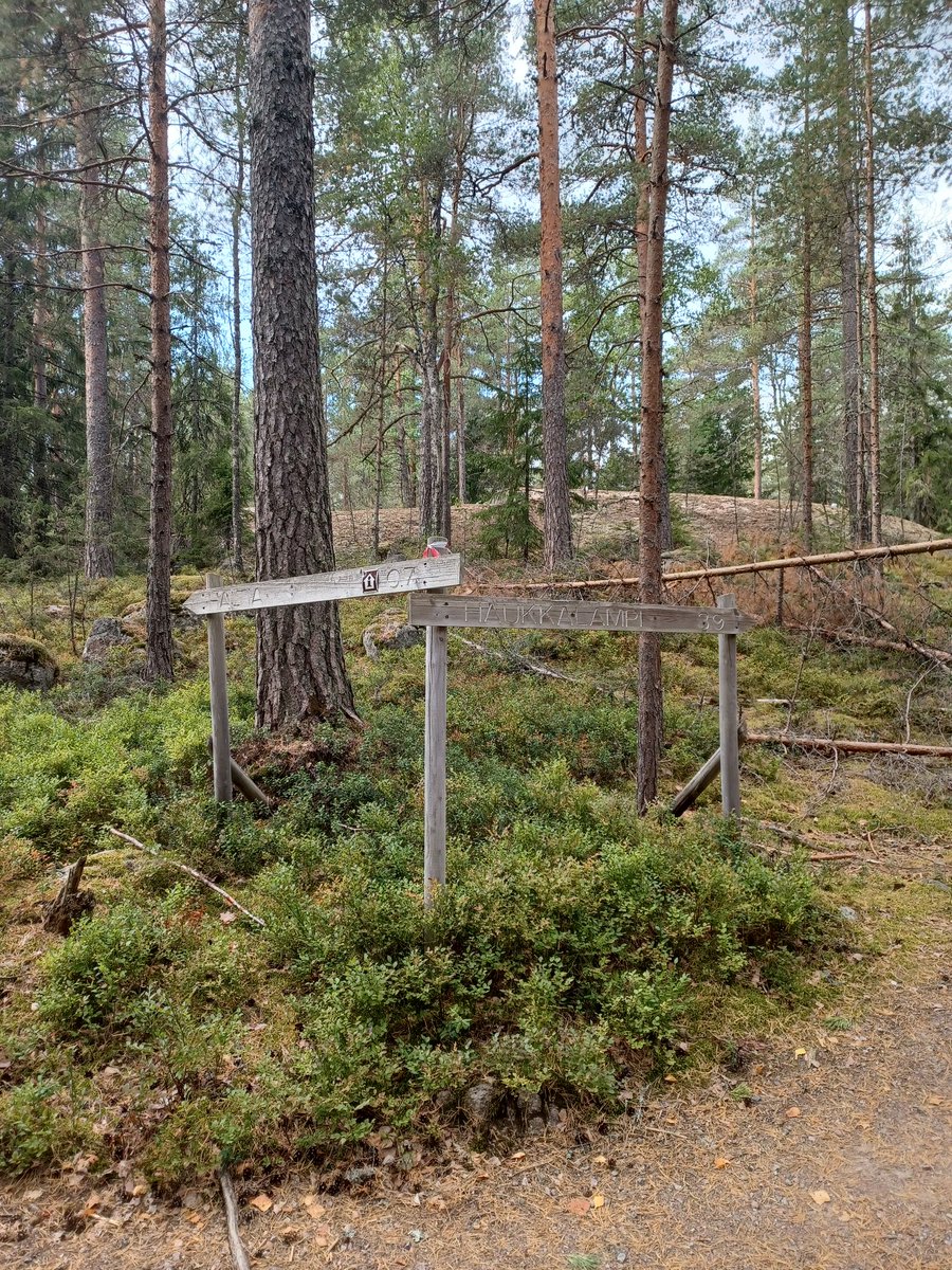 ambrowoll's tweet photo. Tänään piti ns palata rikospaikalle eilisen #NuuksioClassic'in jälkeen, sillä haimme pesutilojen pukuhuoneeseen unohtuneen juoksureppuni. Koirat pääsivät nyt ulkoilemaan kisareitillä ja isäntä/emäntä lounastamaan ravintola #Haltia'ssa.
#nuuksio #noux https://t.co/h9lV7Cq5O9
