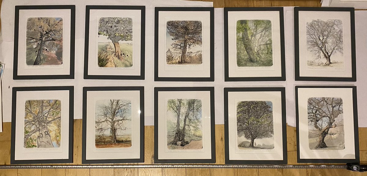 seaparkin's tweet photo. @TreasuringTrees Community work Total Donations @DerbysWildlife £330 @StarkAllotments £235
16 Artworks Sponsored 10 🖼 
Heartfelt 🙏 to all involved 
‘I loved my 🌳 before, but after these works I look at it even more with wonder, appreciation &amp; joy, thank you’ #derbyshire #trees https://t.co/UfNBGZBmU9