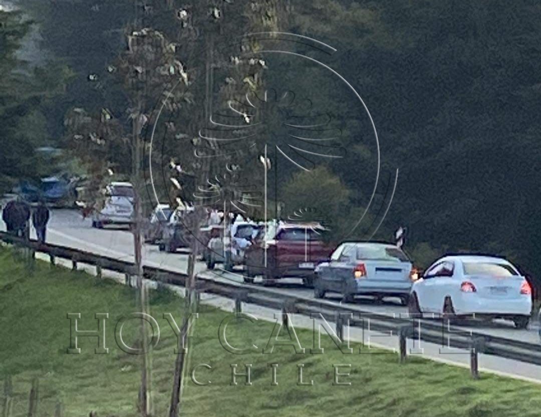 hoycanete's tweet photo. Corte de camino y disparos se registraron cerca de las ocho de la mañana en sector Peleco, ruta Cañete - Tirúa.
Arbles en la calzada impiden que los vehículos  puedan circular hasta esta hora, en el marco de una nueva jornada de plebiscito en el país. https://t.co/ywoU9YVlxY