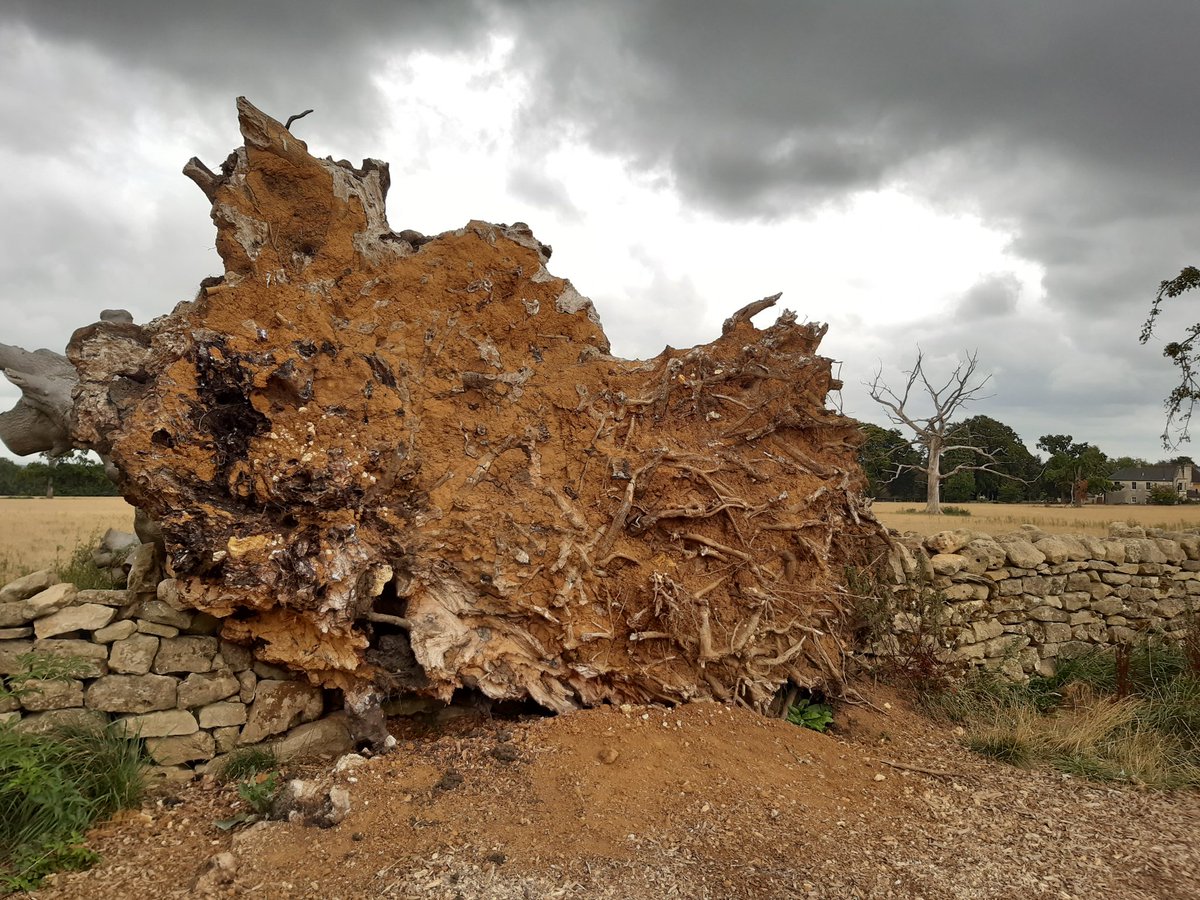 Is this a new map of Middle Earth on the Bath Skyline Walk to celebrate the start of Rings of Power series?