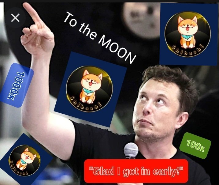 endlescryptoera's tweet photo. Shibashi to the Moon!
 Easy 100x, 1000x! 
BUSD rewards to come! 
Soon to explode!
#SBASHI
#SHIBASHI
@b_zalp
@cryptogems555
@elonmusk
https://t.co/fVorqPjfxj https://t.co/OcZh2IMDXa