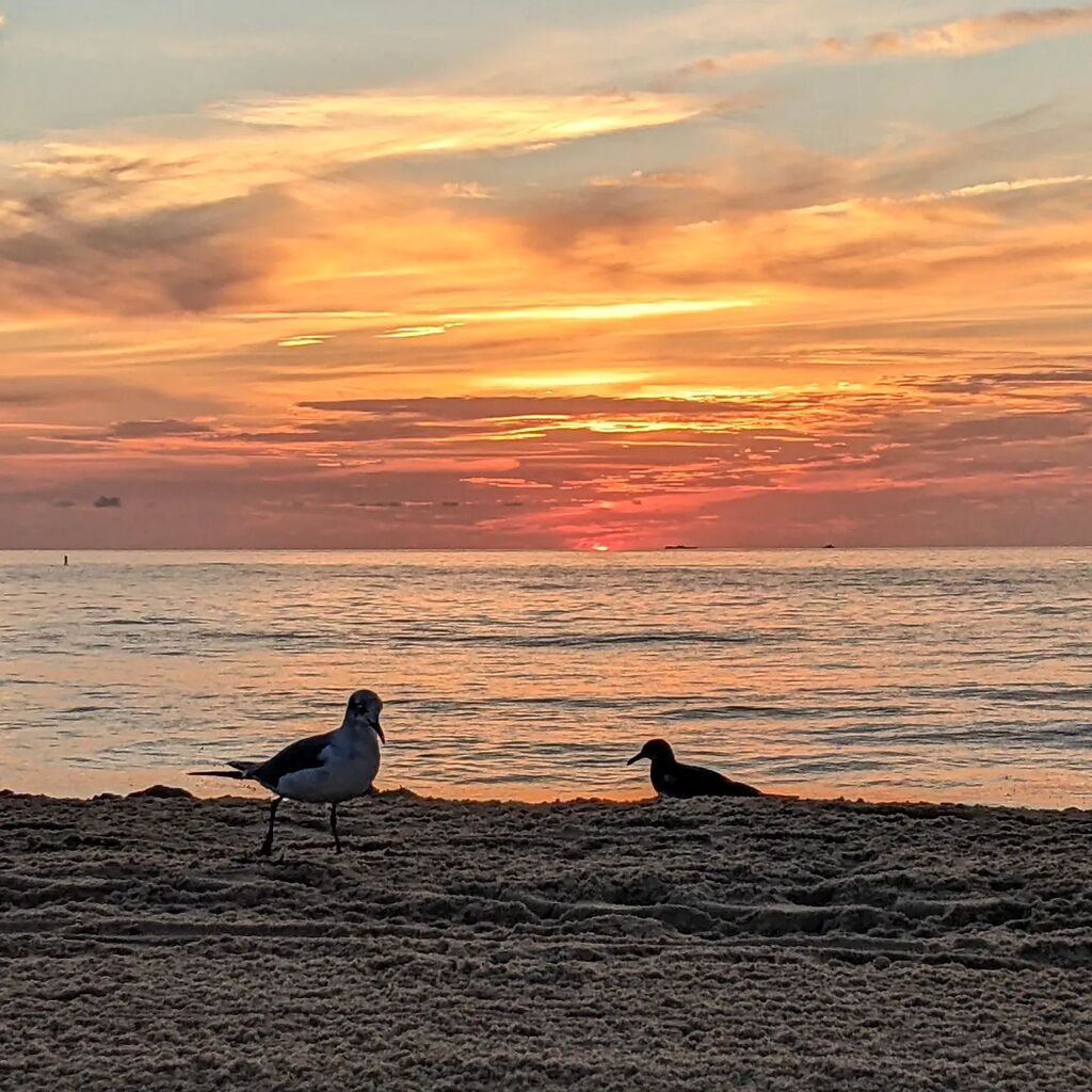 instagr.am/p/CiFYls8O2a0/