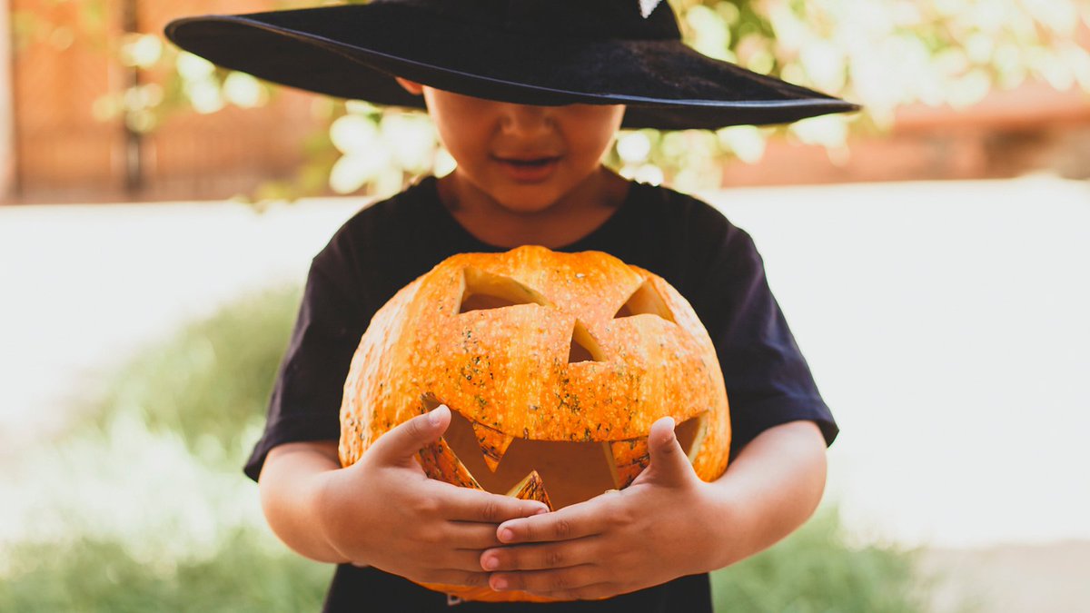 DiscoverDACO's tweet image. We have added two more fall classes!! A Halloween Craft Costume Party &amp;amp; Pumpkin Carving! Sign up today so you don&apos;t miss out on the fun! See links in pins on Instagram, or the events page on Facebook. #DACOClasses #PumpkinCarving #CostumeParty