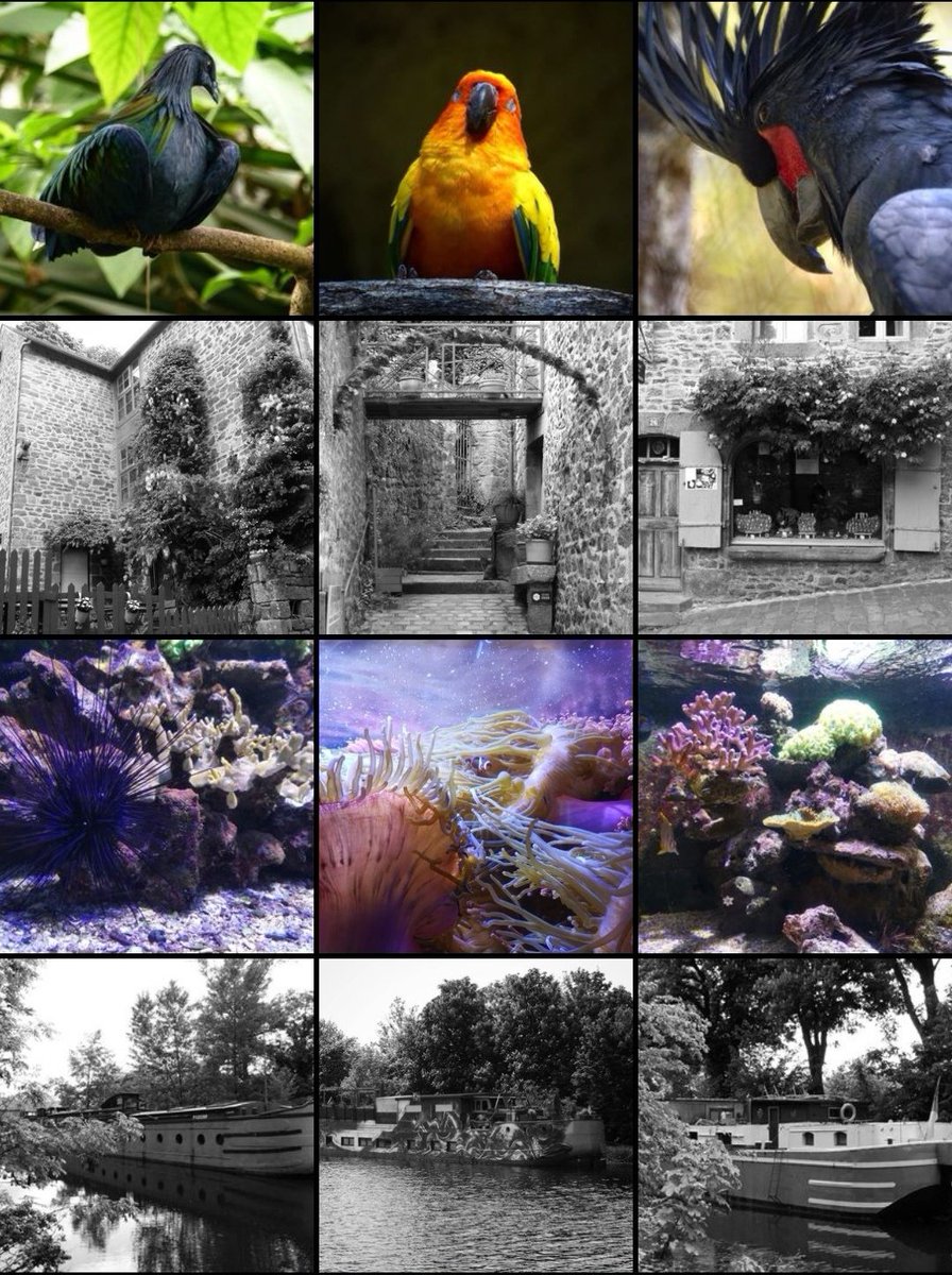 caroprelot's tweet photo. Fruit de ma passion 📸
https://t.co/KLsac5mRBa
https://t.co/WM0tSEhoVR https://t.co/VZyYFwOTWZ