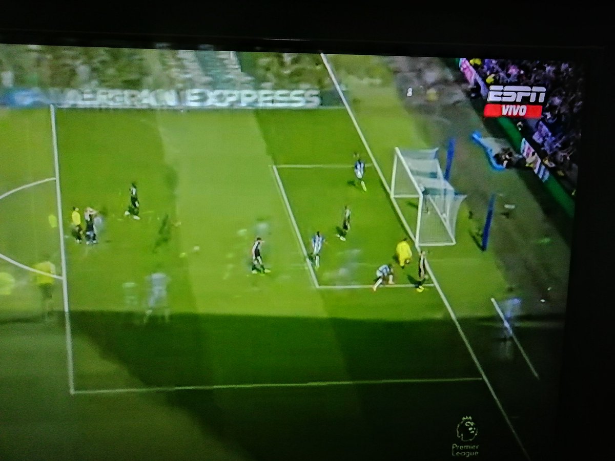 ja_vi9's tweet photo. Gool de Moisés Caicedo https://t.co/yLNVHLYWGh