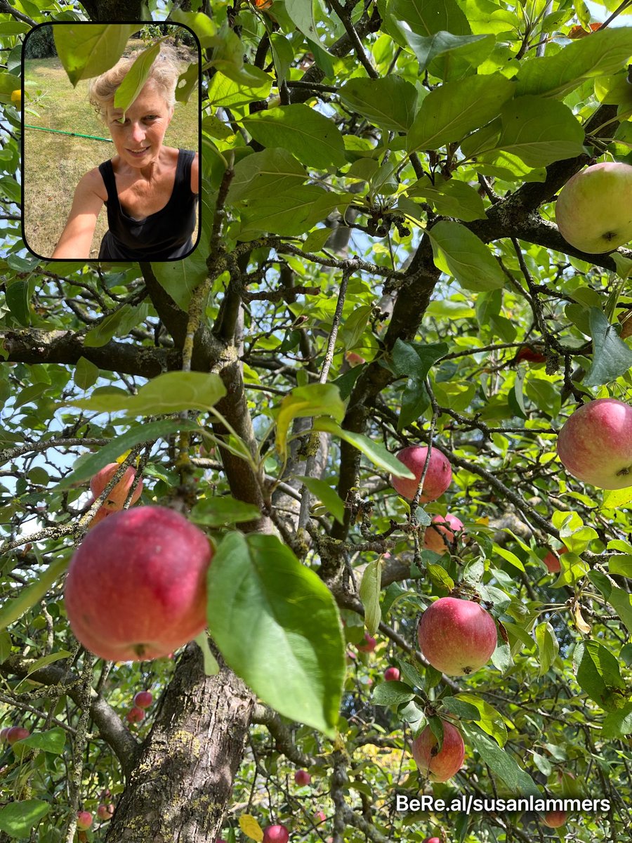 susan lammers tweet media