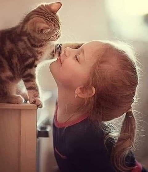 A good day starts with a positive attitude!! Happy day, my dear friends, an enlightened Sunday to all!!