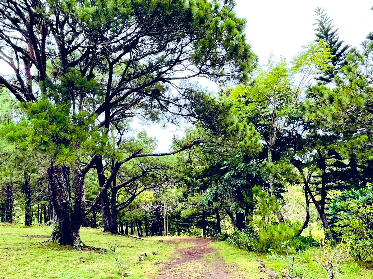 DarlinGonzalez9's tweet photo. #Nicaragua tierra linda!🇳🇮💙🤍 https://t.co/uOzx422HXa