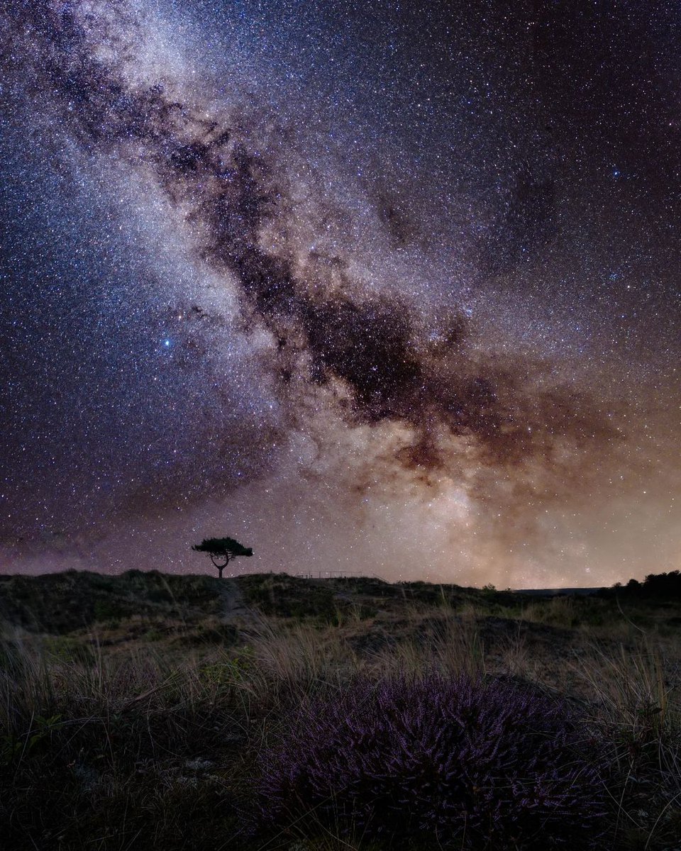 Terschelling is één van de weinige plekken waar zo weinig lichtvervuiling is dat je er nog echte duisternis vindt. Een perfecte plek om sterren te kijken! ⭐️

📷 @plaktoetsbart via Instagram