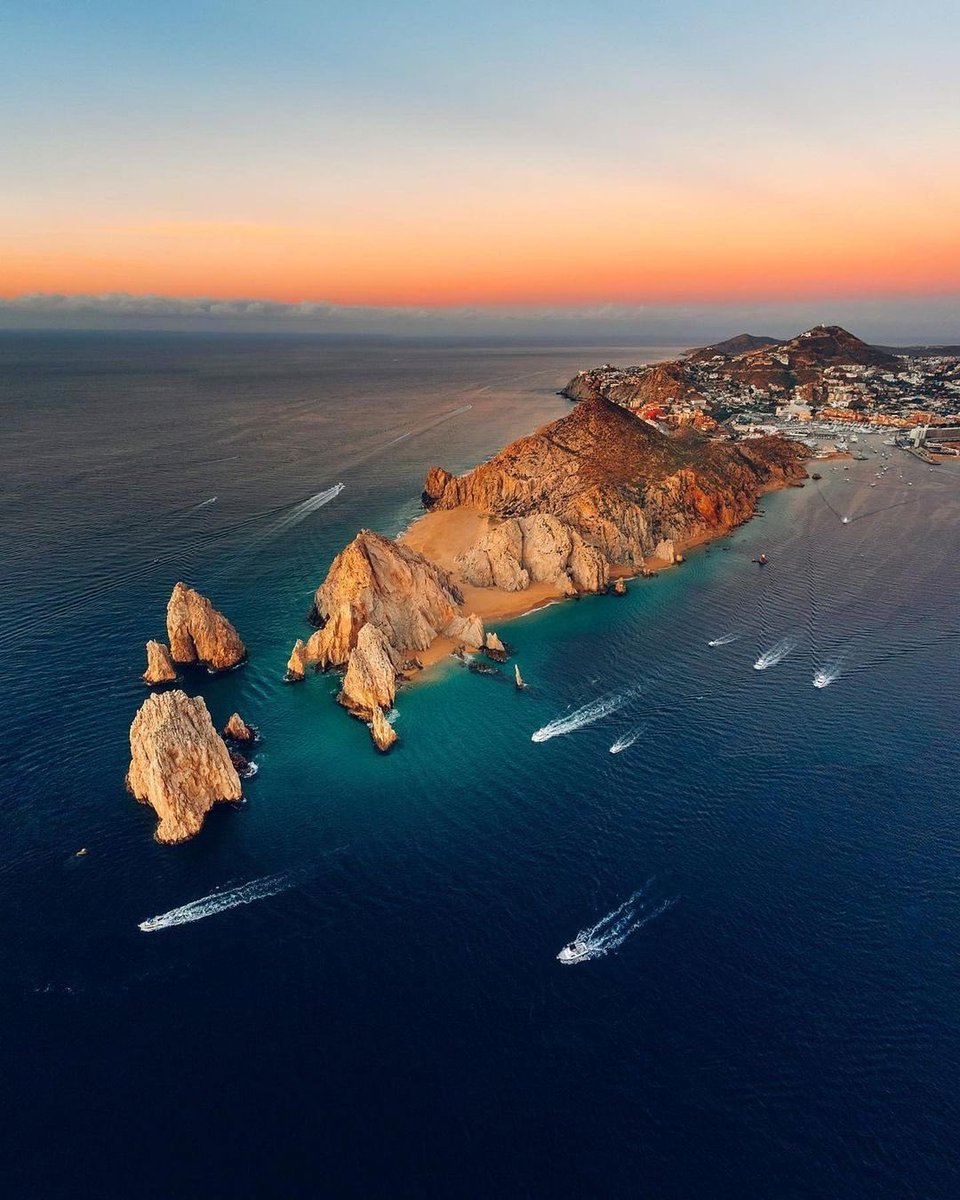 cellular_bud's tweet image. Прилетай