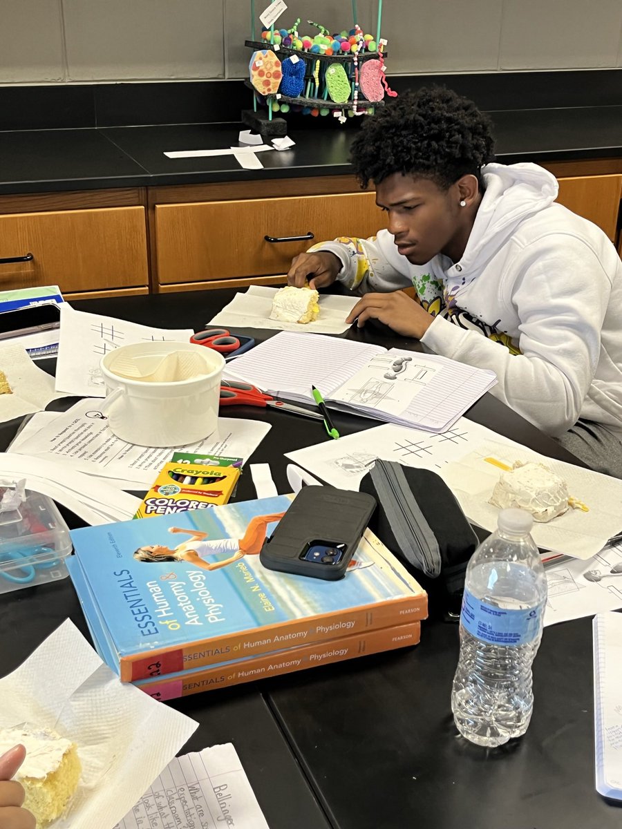 NefertitiLeBeau's tweet photo. Why not eat &amp; learn… right 🤷🏽‍♀️ Ss of my HA&amp;P Class learned importance of anatomical terms. They utilized 🍴🍰 to practice body sections! Special shout-out 2 city councilwoman @YolandaLawsonH for sponsoring my class &amp; providing 🍰 #PGStrong #LitScience @Jefcoed6_12 @pghs_spartans https://t.co/X1ns4plhzS