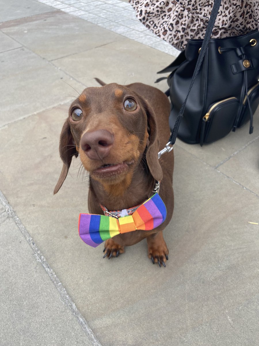 Calderdale Pride tweet media