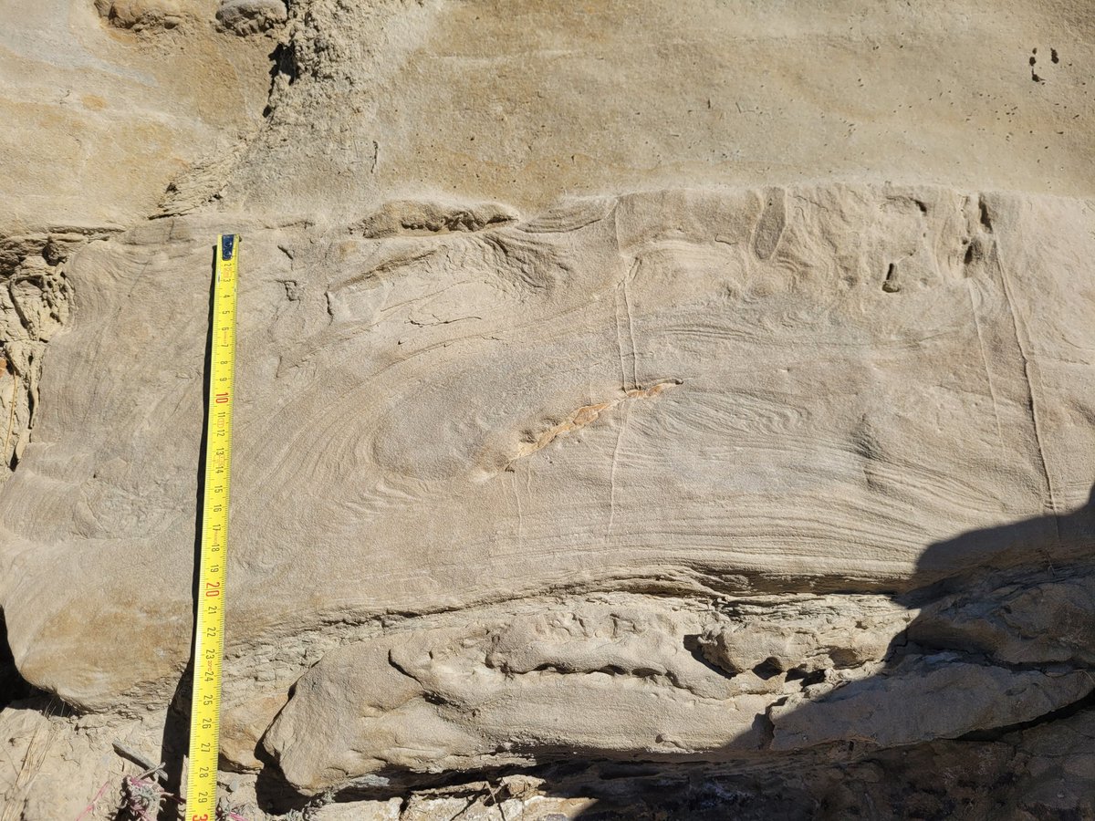 Back in the saddle again! First field foray in 7 - SEVEN!?! YEARS! (pregnant,kid, pregnant, kid2,covid,covid,covid). The field does not dissapoint 😍. #sedimentology <a href="/SeeFlamingGorge/">Visit Flaming Gorge</a> #Utah #Wyoming #geology #lovegeology