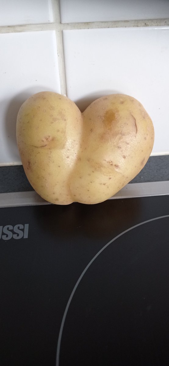 nucmedfan's tweet photo. Even when cooking being reminded of work... Doesn't the shape of this potato look exactly like a thyroid scintigraphy to you? https://t.co/84GZDtSr3y
