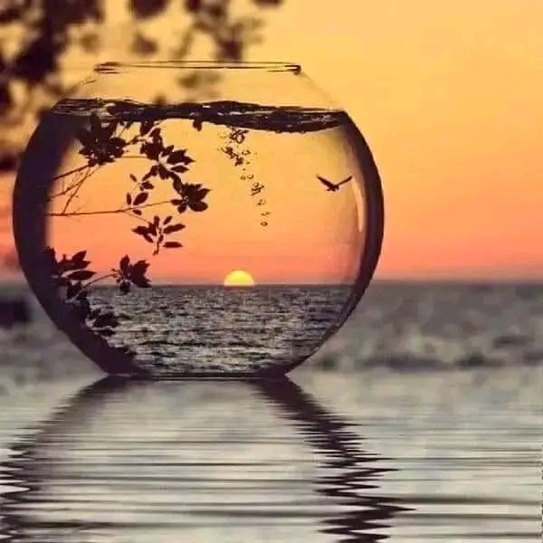 Mohammed Azria (@mohammedazria) on Twitter photo 