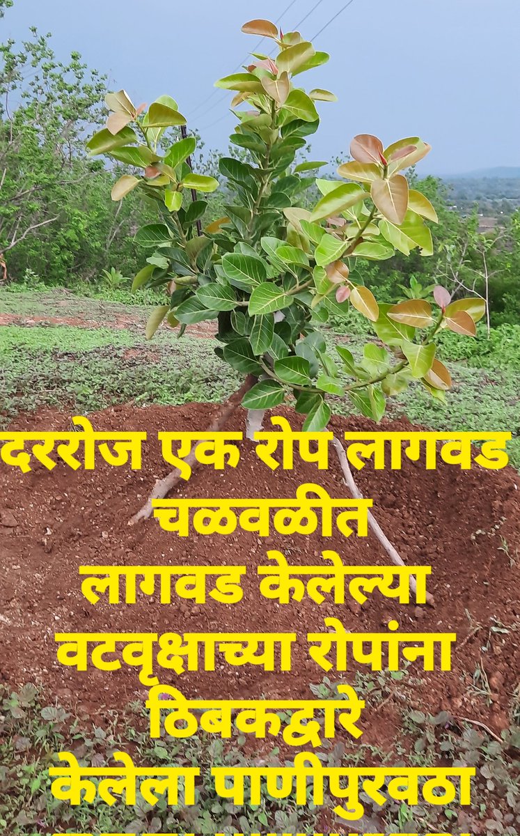 निसर्ग Nature / Shivsambh Ghodke tweet media